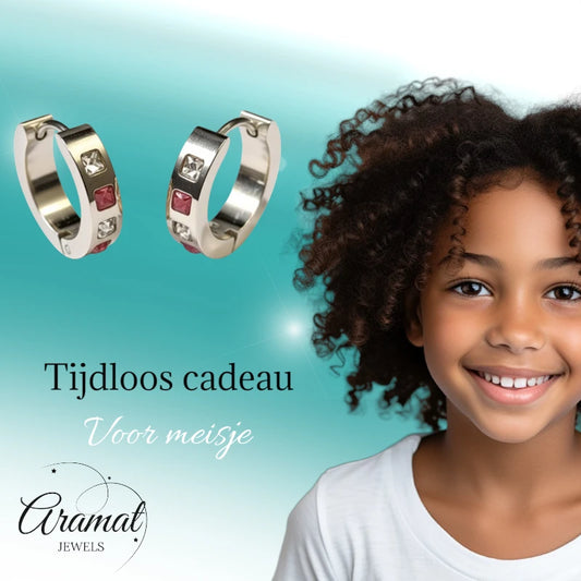 Pink and Transparent Zirconia Earrings Stainless Steel