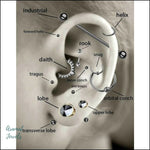 Diagram Van Het Oor Voor Goldplated Helixpiercing Maan Kristal