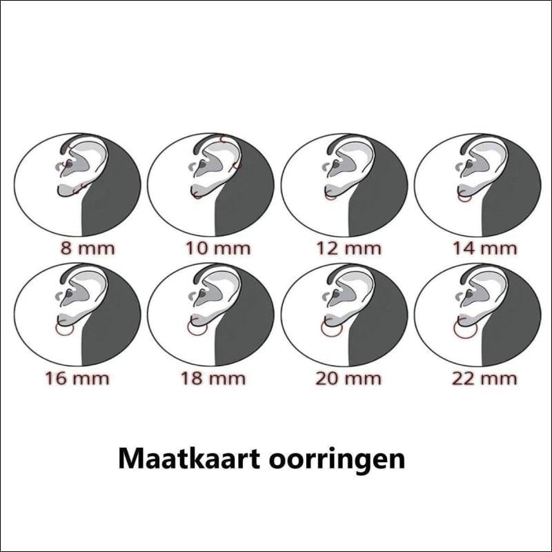 Stijlvolle Doortrek Oorbellen Cirkel in Staal