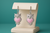 Elegant silver owl earrings with teal brand color background