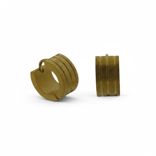 Gold-plated stainless steel earrings for a stylish look