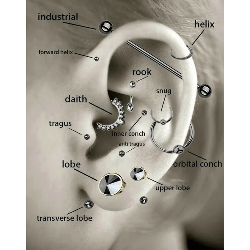 Een schema van de verschillende soorten piercings