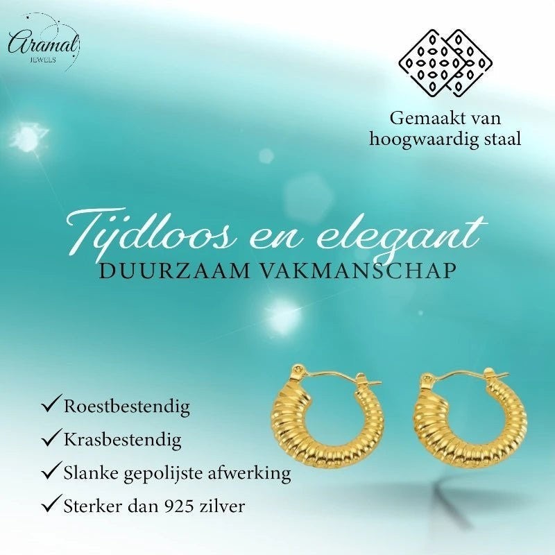 Goudkleurige Stainless Steel Oorringen 20mm - Creolen - oor6246 - 73452 - Oorringen kopen# - Goudkleur - 20mm - alles