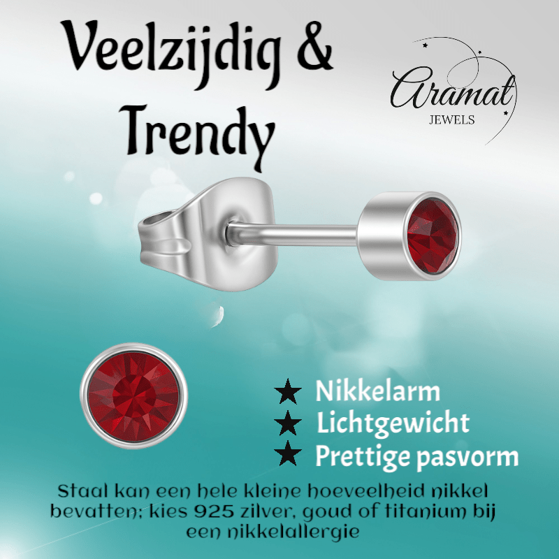 Granaatrood kristal oorstekers – 4mm zilver RVS - Aramat Jewels - Oorbellen - cadeautip