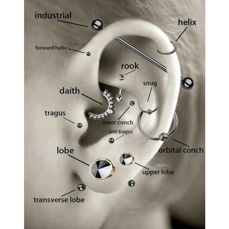 Een diagram van het oor