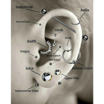 Een schema van de verschillende soorten piercings