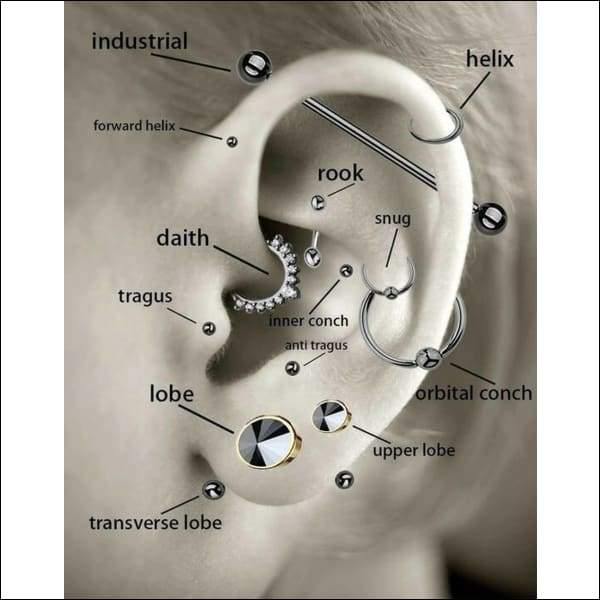 Diagram Van Het Oor Voor Tragus Helix Labret Piercing Vierkant 2mm Transparant