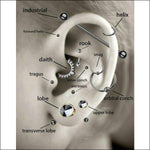 Diagram Van Het Oor Voor 8mm Helix Piercing Met Transparante Zirkonia.