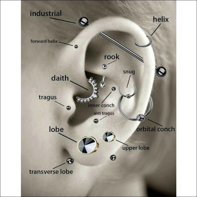 Diagram Van Het Oor Met Roze Steentjes Voor Helixpiercing Tragus Piercing.