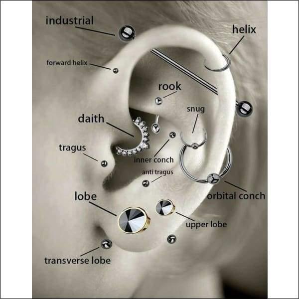 Diagram Van Het Oor Voor Helixpiercing Tragus Piercing Met 4 Steentjes Zwart Rechts.