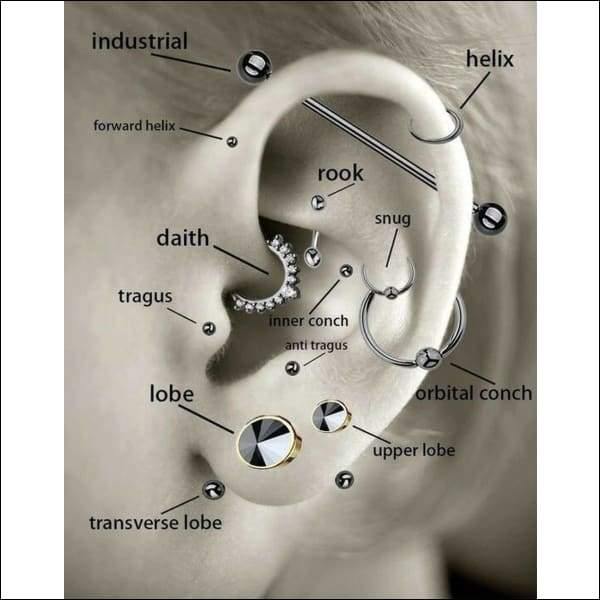 Diagram Of The Ear For Helixpiercing Tragus Piercing Parel 4mm 1.2mm 6mm.