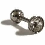 Stainless Steel Balls For Helixpiercing Traguspiercing Steentje Transparant.