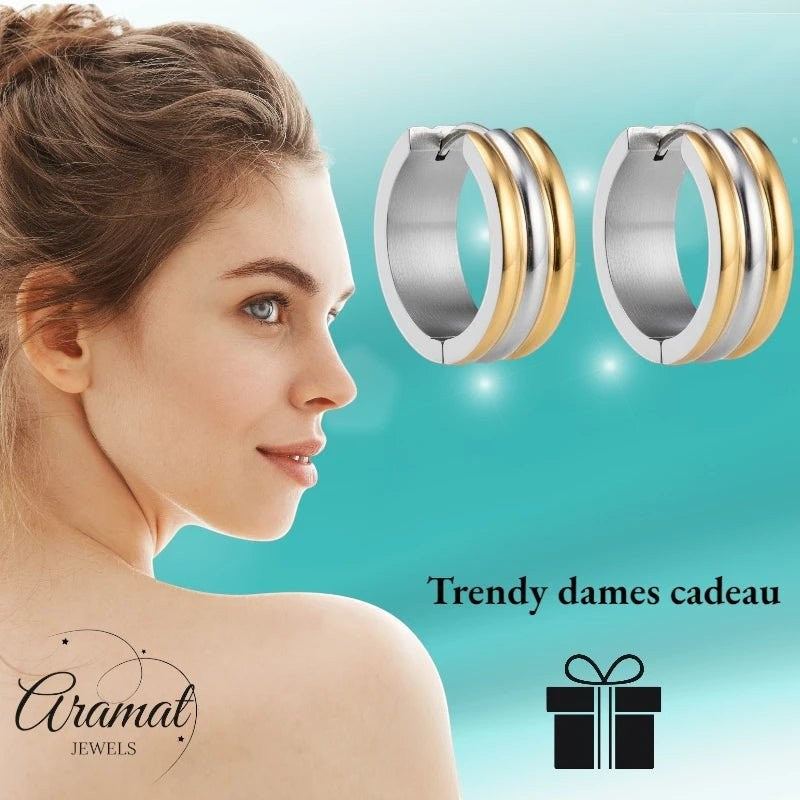 Klapcreolen – RVS Bicolor Goudkleur & Zilverkleur Strepen (13mm) - Aramat Jewels - Oorringen - cadeautip