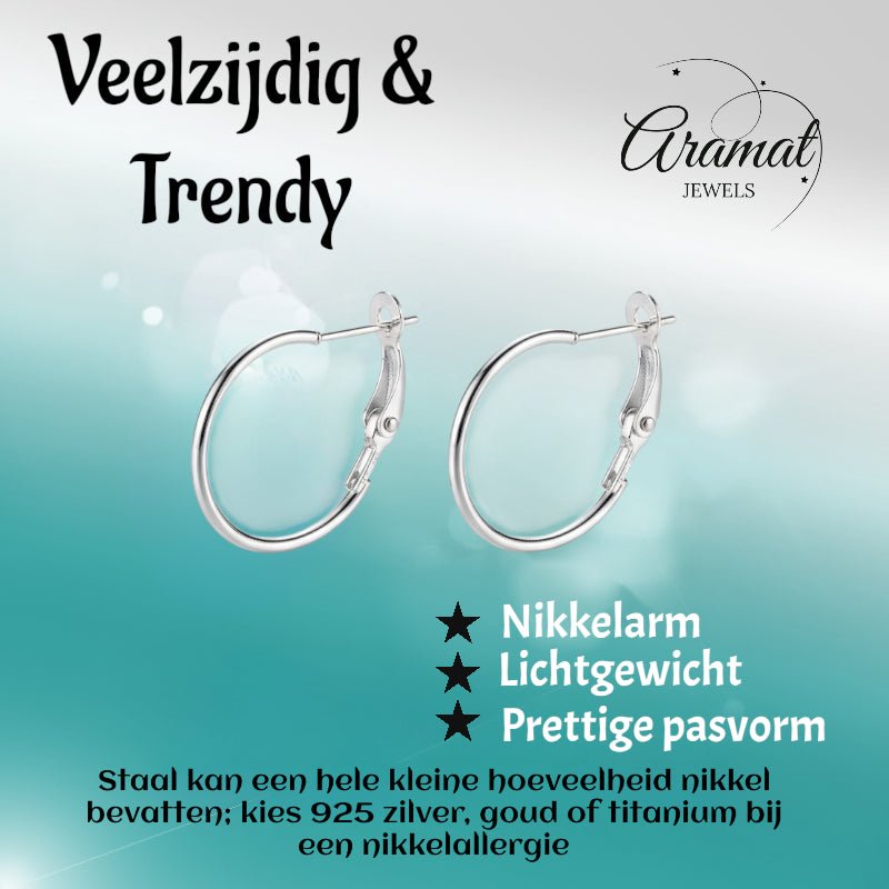 Metalen Oorringen Zilverkleurig 20mm Klapscharnier - Aramat Jewels - Oorbellen - cadeautip