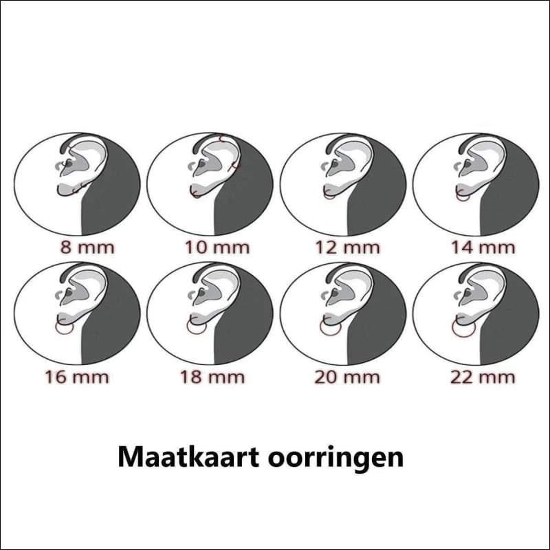 Vier Soorten Oren Weergegeven In Zilveren Oorringetjes Transparante Zirkonia 15mm