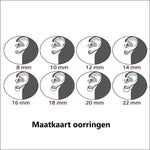 Zilveren Oorringen 12mm Met Vier Types Oren En Zirkonia Steentjes