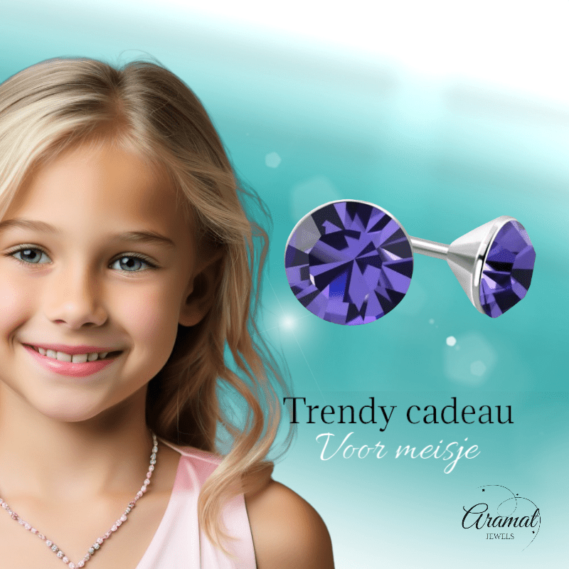 Mini Oorstekers Violet Paars – 3mm – RVS - Aramat Jewels - Oorbellen - cadeautip