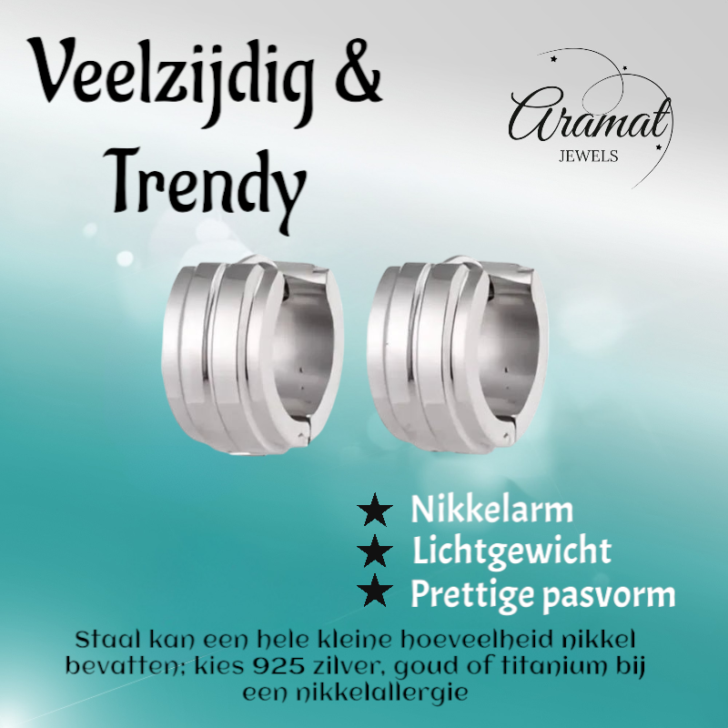 Zilverkleurige Klapcreolen - RVS - Twee Strepen - 13 mm - Uniseks