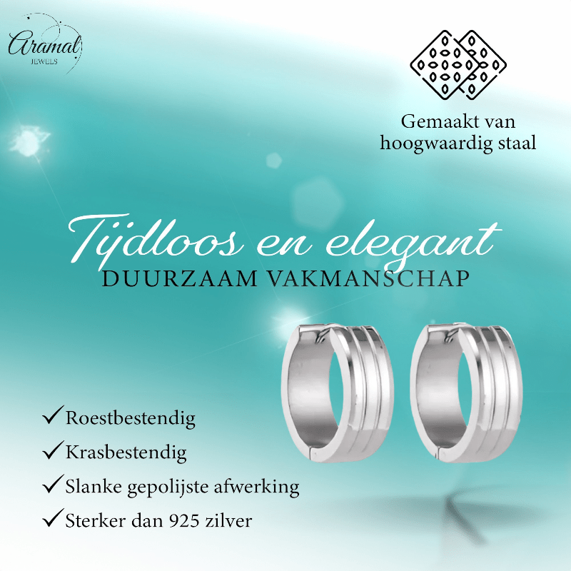 Moderne Zilverkleurige Rvs Oorbellen - oor5796 - se41124 - Oorringen kopen# - 20mm - 7mm - alles