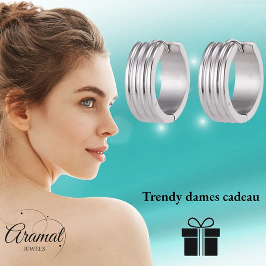 Modern Silver-Colored Steel Earrings