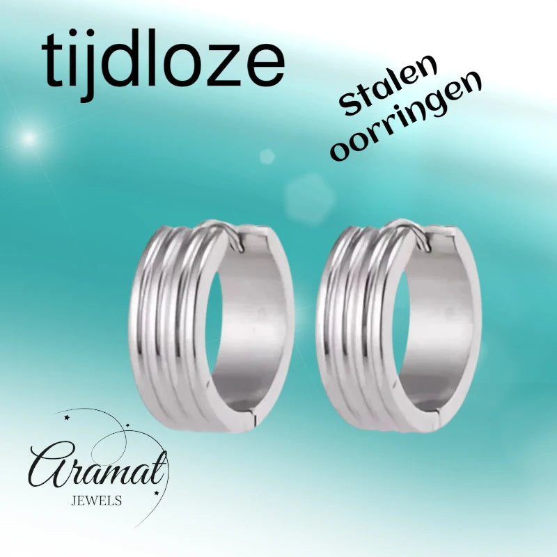 Modern Silver-Colored Steel Earrings