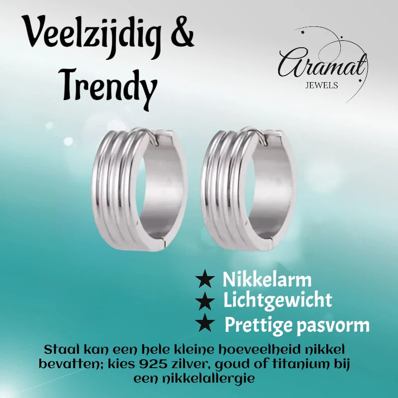 Modern Silver-Colored Steel Earrings