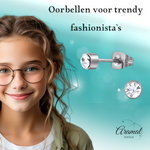 Transparante kristal oorstekers – 4mm zilver RVS