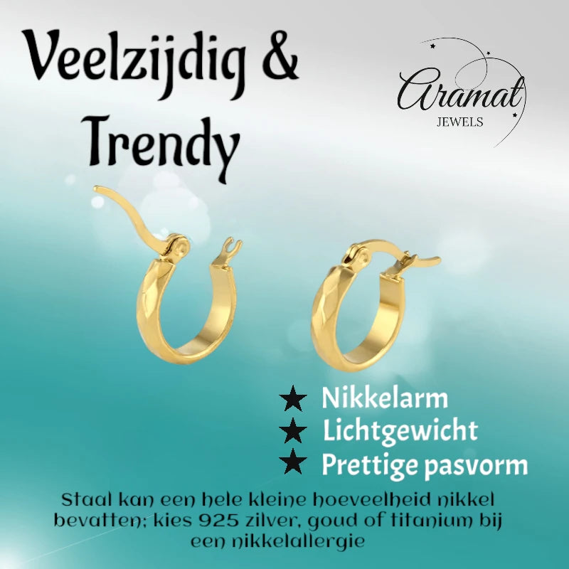 RVS Goudkleurige Oorringetjes 10mm- Kleine Hoops