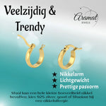 RVS Goudkleurige Oorringetjes 10mm- Kleine Hoops