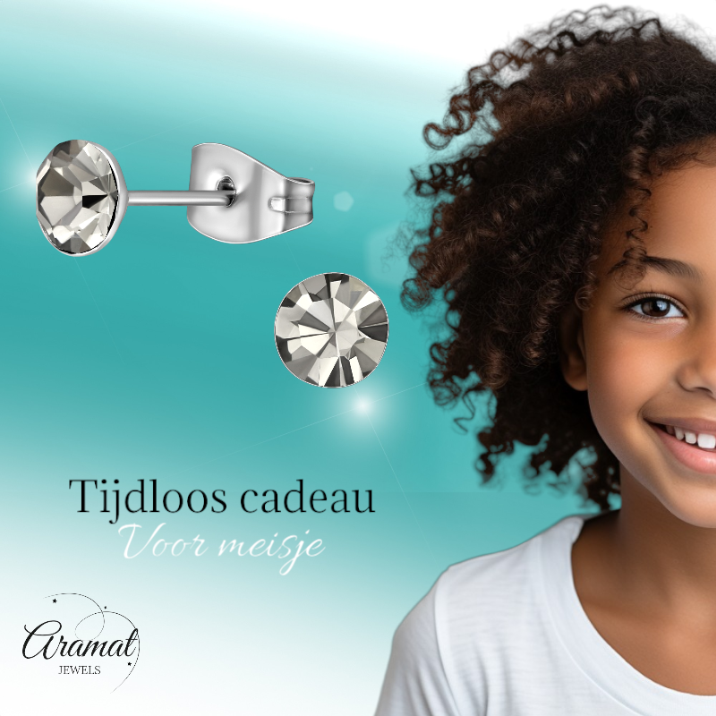 Stalen Kristal Oorbellen met Black Diamond steentje – Zilverkleur – 5mm