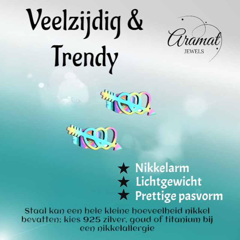 Dubbele regenboog hartjes oorstekers – 10x5mm RVS