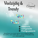 Dubbele regenboog hartjes oorstekers – 10x5mm RVS