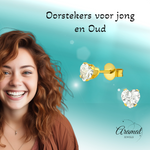 Zirkonia Hart Oorbellen Goudkleur – 5mm