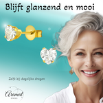 Zirkonia Hart Oorbellen Goudkleur – 5mm