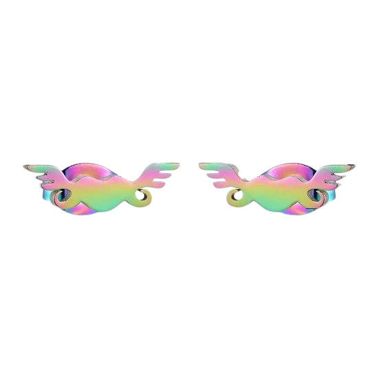 Regenboog hartjes oorstekers met vleugels – 11mm