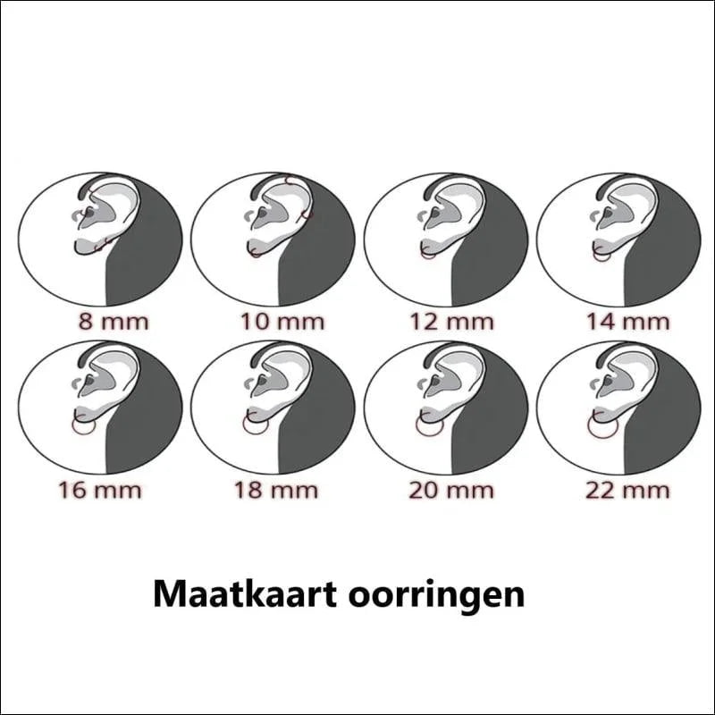 De vier types van het oor