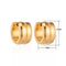 oor5806-se26032-Stainless steel oorringen met 1 streepjes goudkleur-Aramat Jewels 