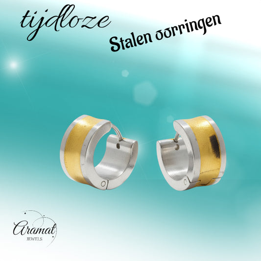Trendy Bicolor Stainless Steel Earrings with Gold-Colored Stripes