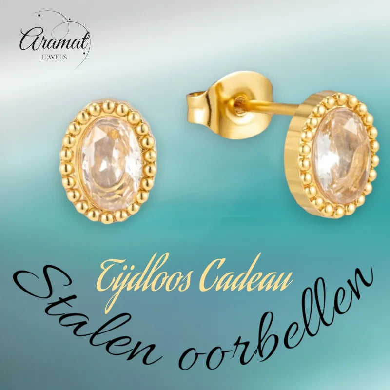 Stalen Zirkonia Oorbellen Ovaal met Bolletjes Rand-8x6mm | Oorbellen