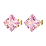 Goudkleurige Vierkante Oorbellen Met Roze Zirkonia Studs Van Roestvrij Staal