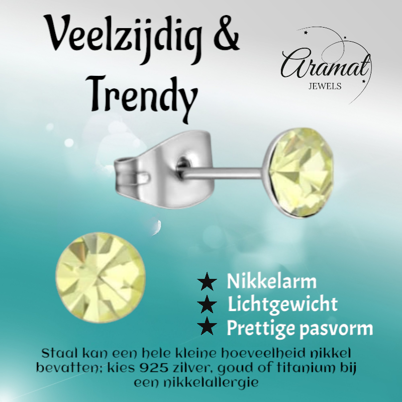 Stalen Kristal Oorbellen met jonquil steentje – Zilverkleur – 5mm
