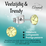 Stalen Kristal Oorbellen met jonquil steentje – Zilverkleur – 5mm
