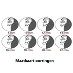 De vier types van het oor