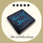 Zwarte Doos Met ’aramut Jewels’, Stijlvolle Vlinder Oorbellen Van Roestvrij Staal Met Emaille Afwerking