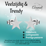 Grote zilverkleurige ster oorstekers – 10mm