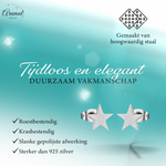 Grote zilverkleurige ster oorstekers – 10mm