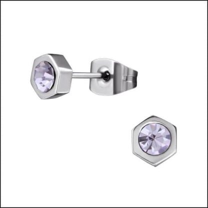 Zilver En Paarse Kristallen Oorbellen - Aramat Jewels®