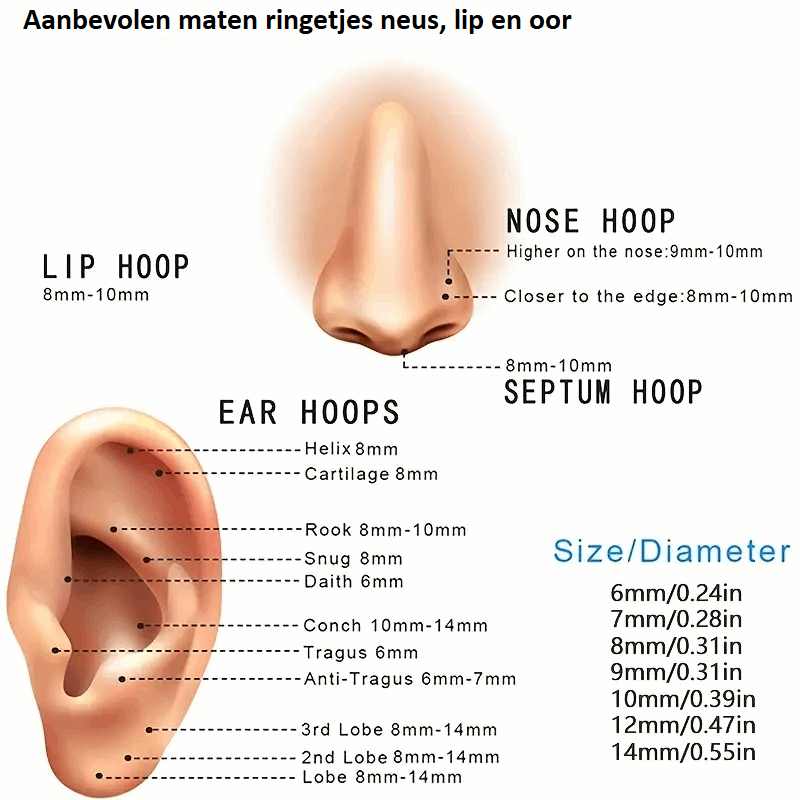 Aramat Jewels ® – Stalen oorringetjes 10mm 12mm 8mm chirurgisch staal dames heren kinderen Meerdere Maten oorbellen oorringen oorringetjes rond Staal zilverkleurig