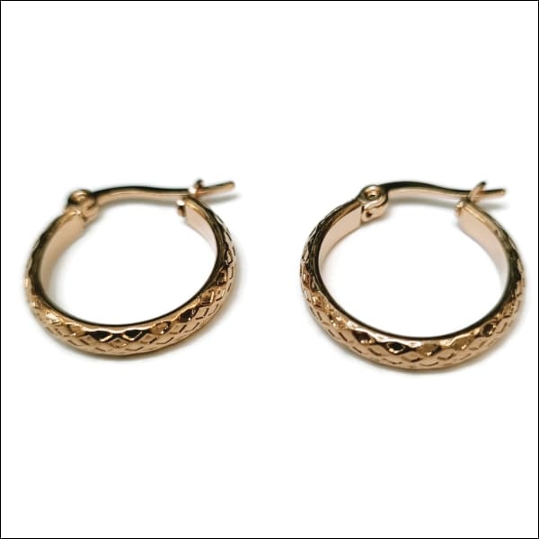 Stalen Oorringen Ruitjes - Aramat Jewels® Oorbellen Met Gouden Hangers