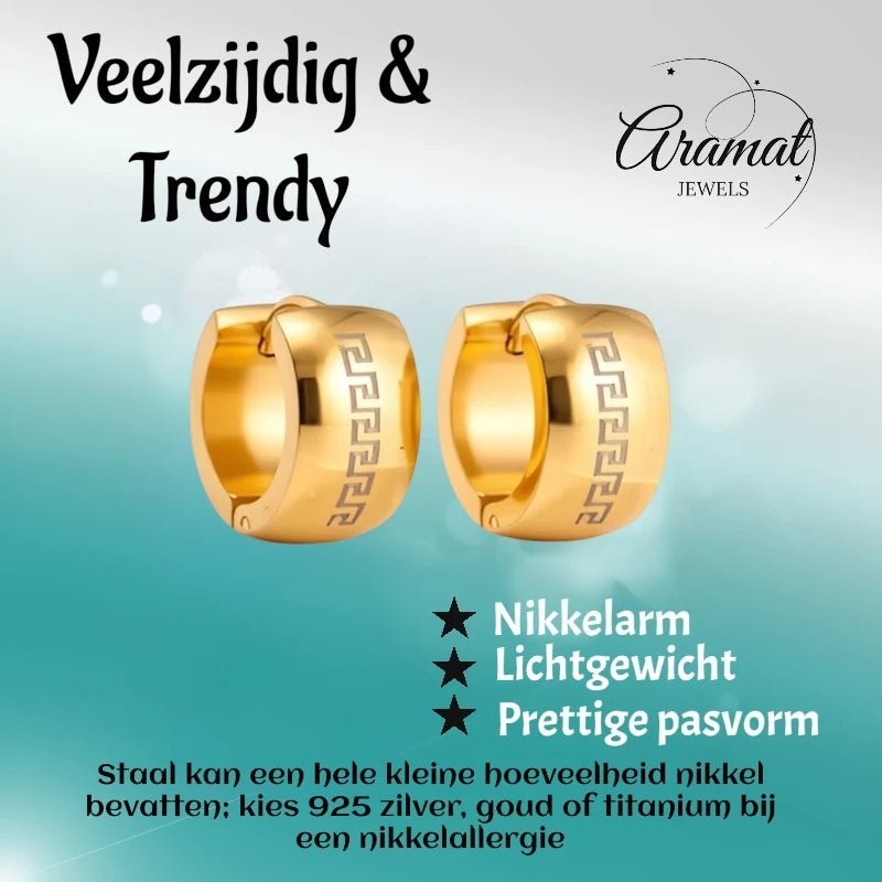 Oorringen – Staal Grieks Motief Goudkleurig (13mm) - Aramat Jewels - Oorringen - cadeautip